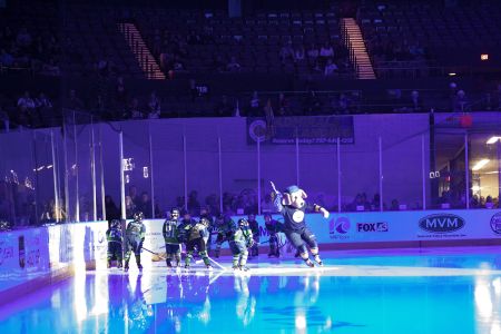 The Norfolk Admirals Hockey Team